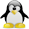 Linux VDS